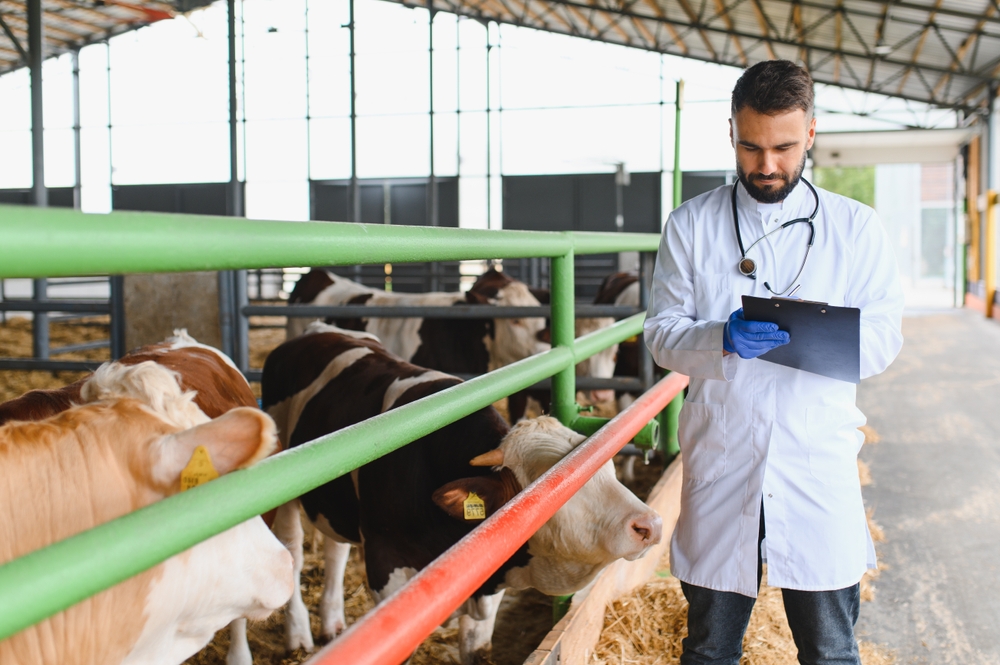 Louisiana Faces Critical Shortage of Farm Veterinarians in Rural Areas