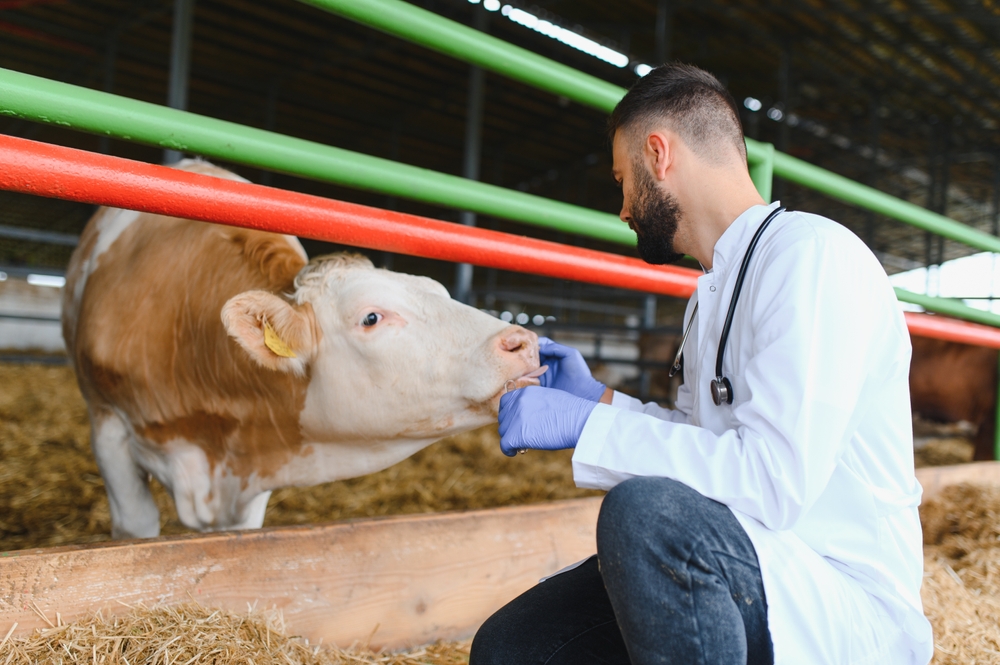 OSU Tackles Veterinarian Shortage in Rural Areas