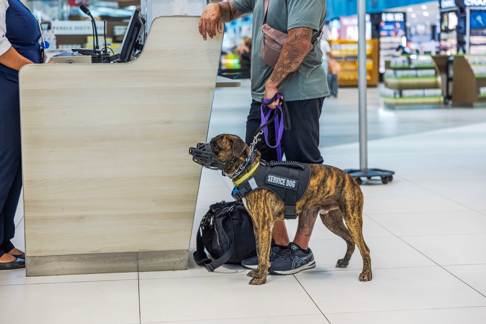 K9s For Warriors Marks Major Milestone with Opening of Florida Veterinary Clinic