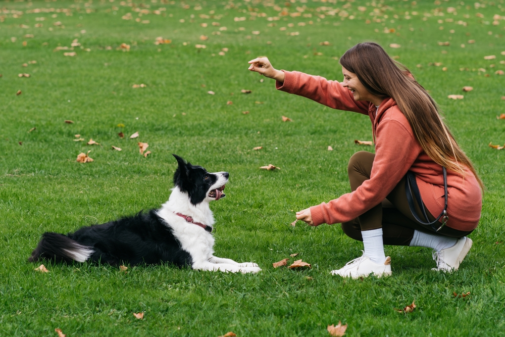 There’s a $158 Billion Opportunity in the Wellness Industry, but It Isn’t for Humans