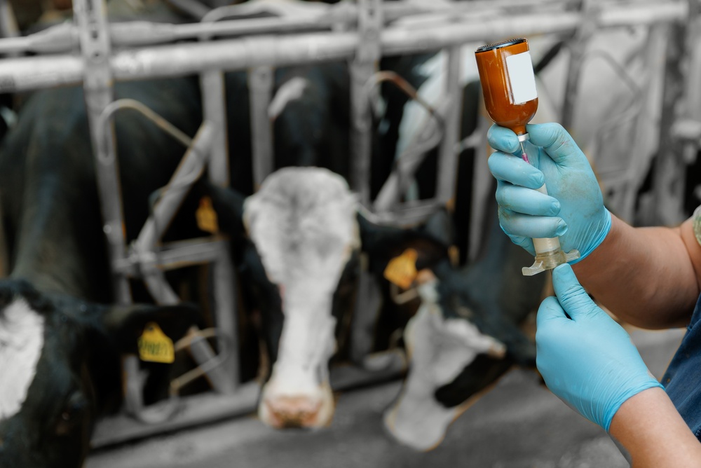 Auburn Vet Med Contributing to Transformative Rural Health Partnership