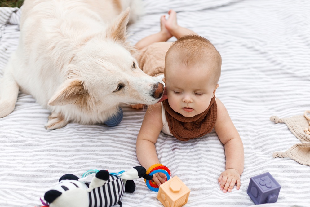 Germs From Pet Dogs Might Protect Infants Against Infection, Researchers Say