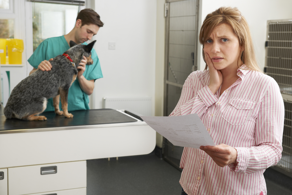 Do the Costs of Veterinary Care Seem Scary?