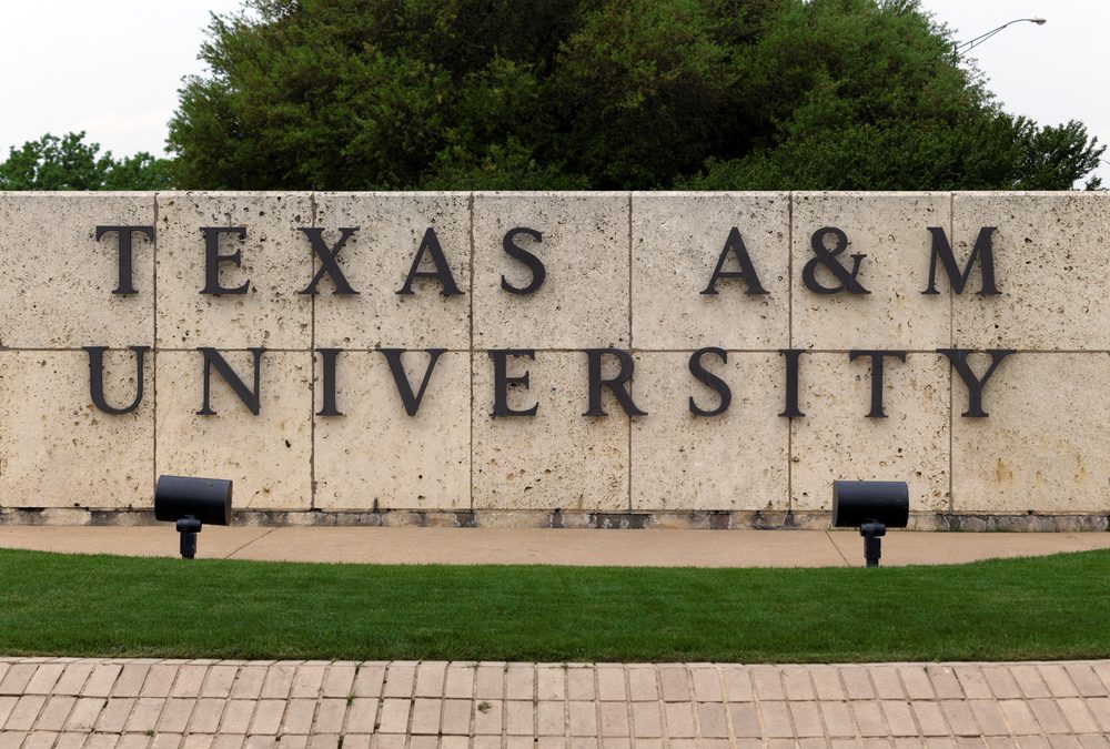 Texas A&M Veterinary Emergency Team to Assist Fight Against New World Screwworm
