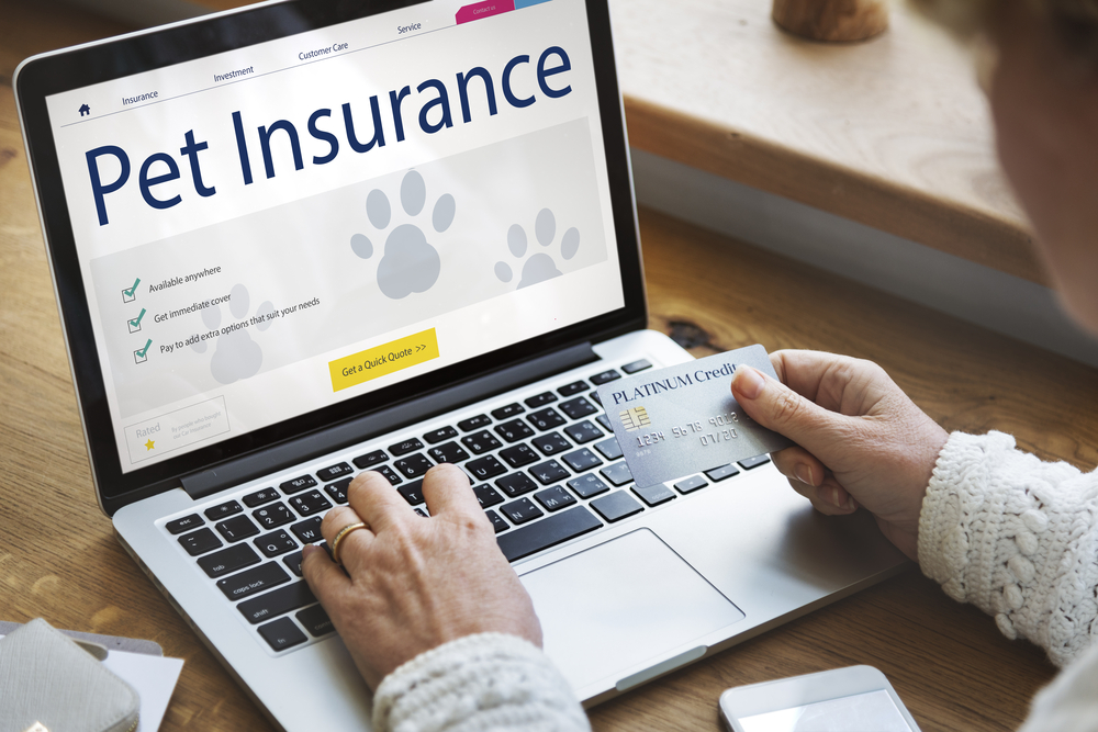 Does Pet Insurance Make Sense?