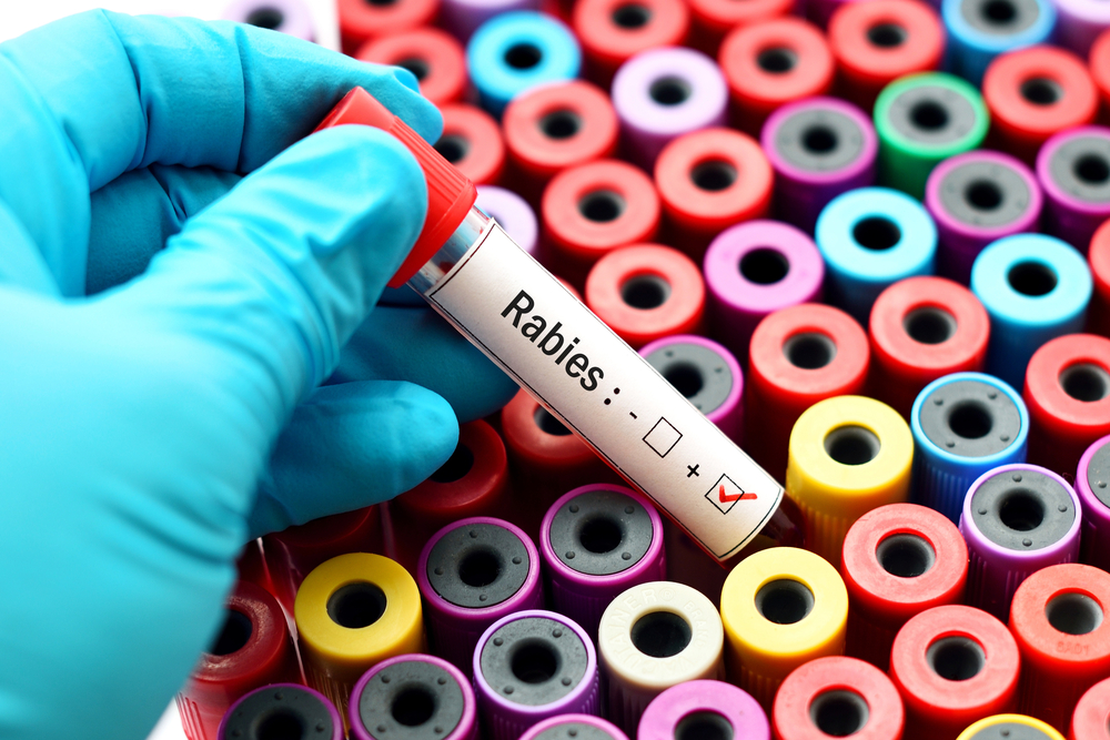 Dog Tests Positive for Rabies in Eastern New Mexico