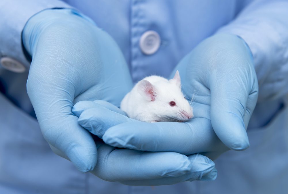 FDA, NIH Officials Look To Curb Animal Testing in Drug Development