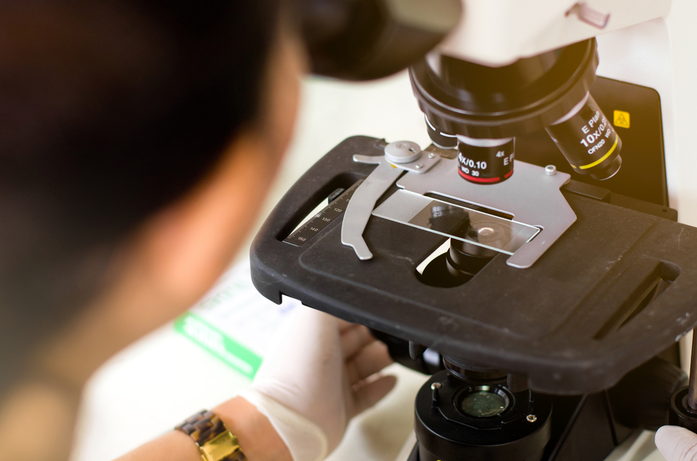 Veterinarian,Women,Conducting,An,Investigate,Dog,Hair,,Looking,Through,A